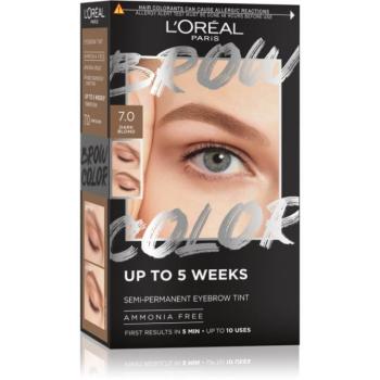 L’Oréal Paris Brow Color szemöldökfesték 1 db kép