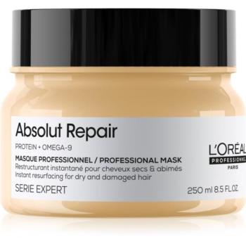 L’Oréal Professionnel Serie Expert Absolut Repair mélyen regeneráló maszk száraz és sérült hajra 250 ml kép
