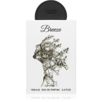 Lattafa Pride Breeze Eau de Parfum unisex 100 ml kép