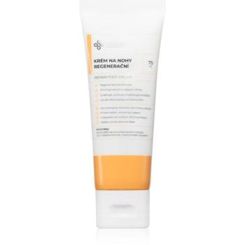 Lobey Body Care Regenerační krém na nohy regeneráló és hidratáló krém lábakra 75 ml kép