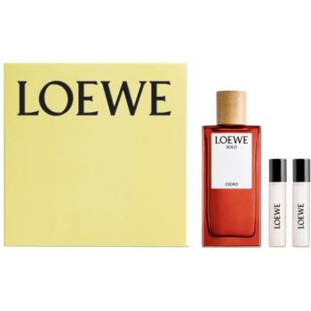 Loewe Solo Cedro ajándékszett uraknak kép