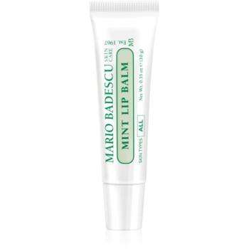 Mario Badescu Mint Lip Balm Ultra tápláló ajakbalzsam 10 g kép