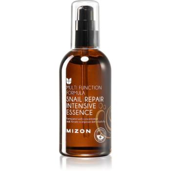 Mizon Multi Function Formula Snail arcmegújító esszencia 100 ml kép