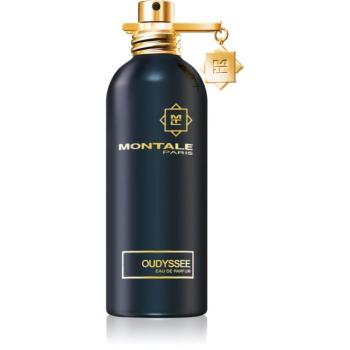Montale Oudyssee Eau de Parfum unisex 100 ml kép