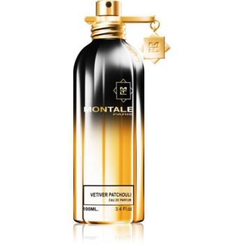 Montale Vetiver Patchouli Eau de Parfum unisex 100 ml kép
