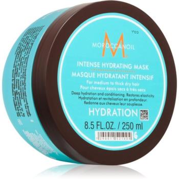 Moroccanoil Hydration Intense Hydrating Mask intenzíven hidratáló és tápláló maszk száraz és normál hajra 250 ml