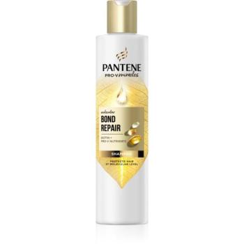 Pantene Pro-V Bond Repair hajerősítő sampon a sérült hajra biotinnal 250 ml kép