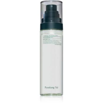 Pyunkang Yul Calming Moisture Mist intenzíven nyugtató permet az érzékeny száraz bőrre 100 ml kép