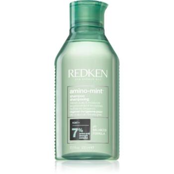 Redken Amino Mint finom állagú tisztító sampon a gyorsan zsírosodó hajra 300 ml kép