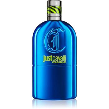 Roberto Cavalli Just Cavalli Wild Blue Eau de Toilette uraknak 90 ml kép