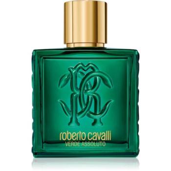 Roberto Cavalli Uomo Verde Assoluto Eau de Parfum uraknak 100 ml kép