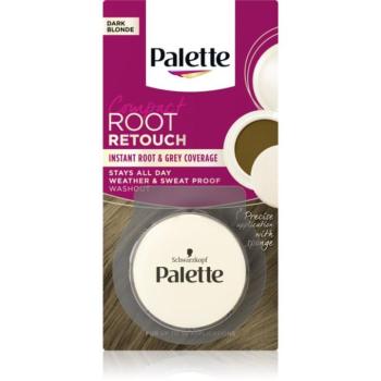Schwarzkopf Palette Compact Root Retouch korrektor az ősz hajszálakra púderes hatással 3 g kép