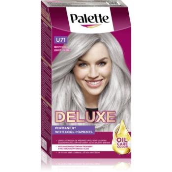 Schwarzkopf Palette Deluxe tartós hajfesték 1 db kép