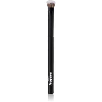 Sisley Accessories Phyto-Lip Delight ecset az alap szemhéjfestékekre 1 db kép