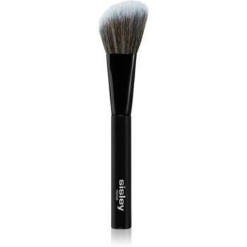 Sisley Accessories Phyto-Lip Delight púderecset az arcra (arcpír ecset) 1 db kép