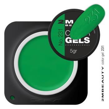 Színes Zselé - Neon 231 - HEMA Mentes (5g) kép