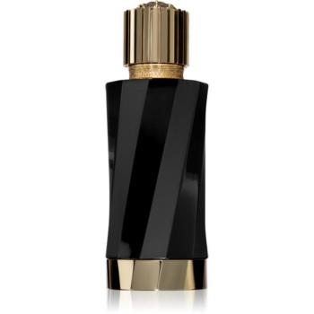 Versace Atelier Iris D'elite Eau de Parfum unisex 100 ml kép