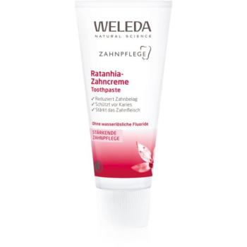 Weleda Dental Care fogkrém ínyvérzés ellen 75 ml kép