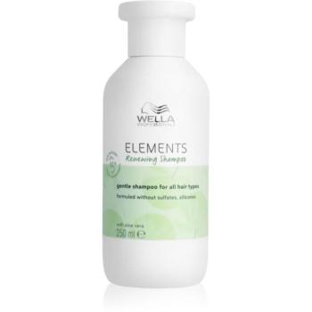 Wella Professionals Elements Renewing megújító sampon minden hajtípusra 250 ml kép