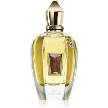 Xerjoff Richwood parfüm unisex 100 ml kép