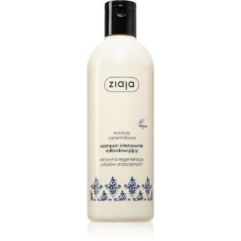 Ziaja Ceramides intenzíven regeneráló sampon 300 ml kép