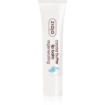 Ziaja Cocoa Butter ajakbalzsam kakaóvajjal 10 ml kép
