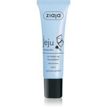 Ziaja Jeju Young Skin folyékony korrektor a tökéletes bőrért árnyalat Natural 30 ml kép