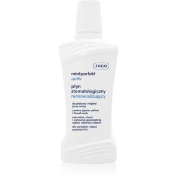 Ziaja Mintperfect Activ remineralizáló szájvíz 500 ml kép