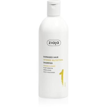 Ziaja Plant Essentials Banana Flower tápláló sampon a károsult hajra 400 ml kép
