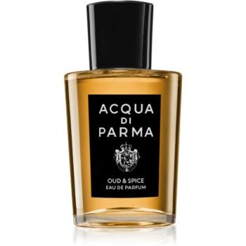 Acqua di Parma Oud & Spice Eau de Parfum unisex 100 ml kép
