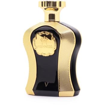 AFNAN Highness V EdP 100ml kép