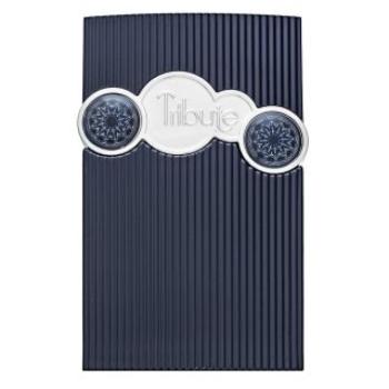 Afnan Tribute Blue Eau de Parfum férfiaknak 100 ml kép