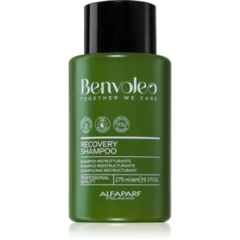 Alfaparf Milano Benvoleo Recovery formázó sampon a károsult hajra 275 ml kép