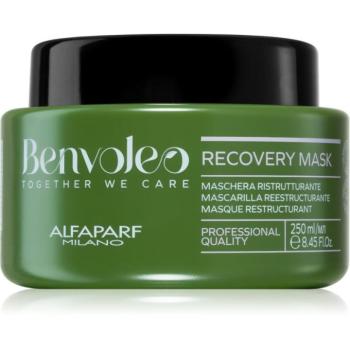 Alfaparf Milano Benvoleo Recovery intenzív regeneráló maszk a károsult hajra 250 ml kép
