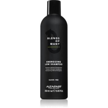 Alfaparf Milano Blends of Many Energizing energizáló sampon finom és lesimuló hajra 250 ml kép