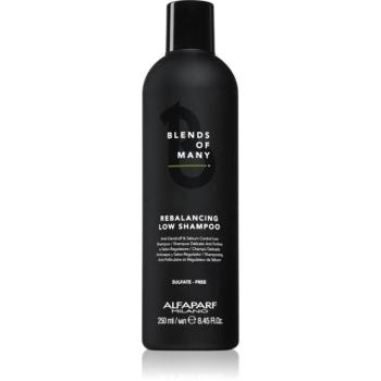 Alfaparf Milano Blends of Many Rebalancing korpásodás elleni sampon 250 ml kép