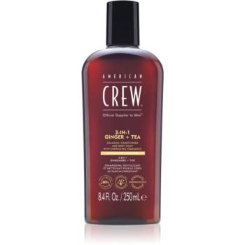 American Crew 3 in 1 Ginger + Tea 3 az 1 sampon, kondicionáló és tusfürdő uraknak 250 ml kép