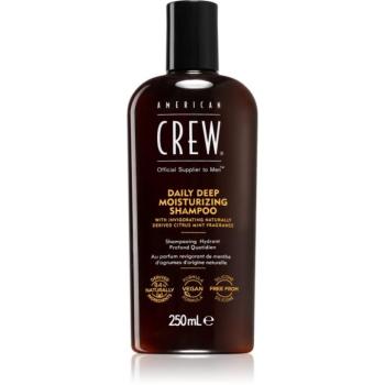 American Crew Deep Moisturizing Shampoo hidratáló sampon uraknak 250 ml kép