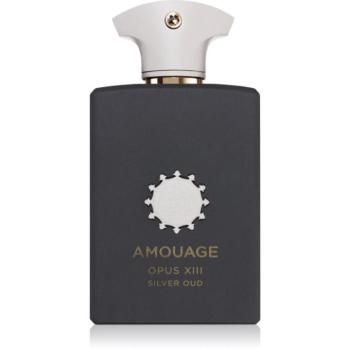 Amouage Opus XIII: Silver Oud Eau de Parfum unisex 100 ml kép