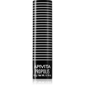 Apivita Lip Care Propolis balzsam a száraz és cserepes ajkakra 4.4 g kép