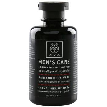 Apivita Men's Care Hair and Body Wash with Cardamon & Propolis sampon és tusfürdő gél 2 in 1 250 ml kép