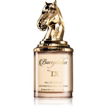 Armaf Bucephalus No. IX Eau de Parfum unisex 100 ml kép