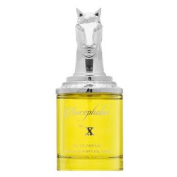 Armaf Bucephalus No. X Eau de Parfum férfiaknak 100 ml kép