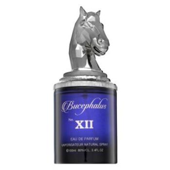 Armaf Bucephalus No. XII Eau de Parfum férfiaknak 100 ml kép
