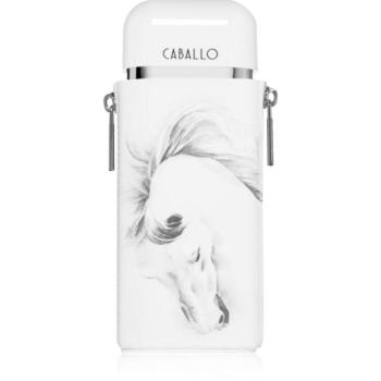 Armaf Caballo Eau de Parfum uraknak 100 ml kép