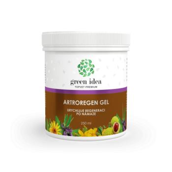 Artroregen masszázsgél 250 ml - Green idea kép