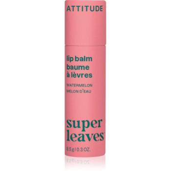 Attitude Super Leaves Lip Balm ajakbalzsam a dinnye illatával Watermelon 8.5 g