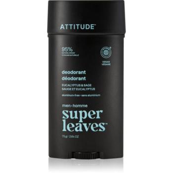 Attitude Super Leaves Men Deodorant dezodor alumíniummentes uraknak 75 g kép