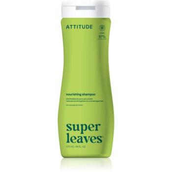 Attitude Super Leaves Nourishing & Strengthening tápláló sampon 473 ml kép