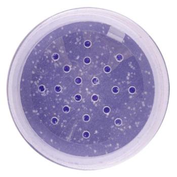 Bársonypor flitterrel VGF 02 (20 g) kép